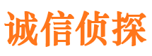 辽中市私家侦探